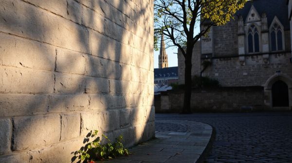 5 raisons de choisir le nettoyage à domicile à Chartres